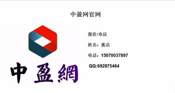 中盈网代理体系全解析 个人代理、招商加盟与网络推广的机遇与路径