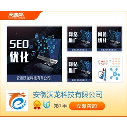 安徽沃龙网络 企业网站推广与网络代理的专业解决方案