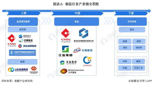 制盐行业产业链全景梳理及区域热力地图